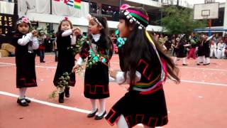 Baile mapuche [upl. by Delcina]