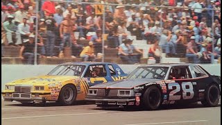 1981 Virginia 500 [upl. by Delanty]