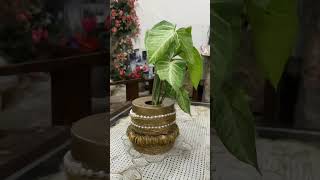 Hand crafts  home decor  decoration ideas [upl. by Ki87]