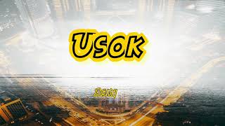 Usok  Asin TropaVibes Reggae Karaoke version [upl. by Ambler]