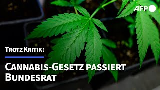 CannabisGesetz passiert Bundesrat – trotz scharfer Kritik  AFP [upl. by Oluap]