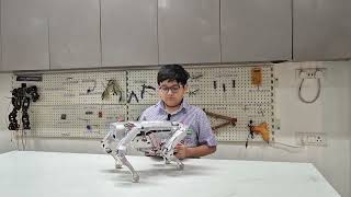 Robo Dog  SPSEC Kanpur  Quest Academics [upl. by Eesak194]