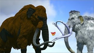 Ark Survival  PRIMAL MAMMOTH vs MAMMOTHSPINOTREX and more Ep492 [upl. by Ellie]