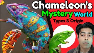 Chameleon Mystery World  Types amp Origin शमेलिऑन रहस्य जगत  प्रकार और वास्तव [upl. by Enimajneb]