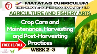 TLE Grade 7 Quarter 2  AFA Weeks 23 CROP CARE AND MAINTENANCE HARVESTING AND POST HARVESTING [upl. by Egide405]