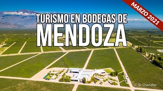 Bodegas de Mendoza para hacer turismo [upl. by Nipha]