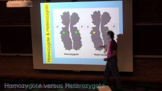 Homozygote and Heterozygote [upl. by Boff]