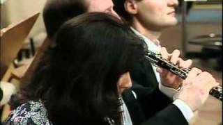 Beethoven  Sinfonia n 3 in Mi bemolle maggiore op 55  Eroica  video 2 di 5 [upl. by Ashley]