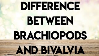 Geology palaeontologyecture series difference between brachiopods and bivalvia [upl. by Madelyn]