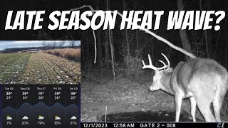 TOP 2 HABITAT FEATURES THAT KEEP WORKING WHEN ITS COLD Increase your odds during late season thaws [upl. by Jemmie]