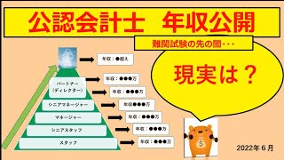 公認会計士の年収公開 実際はどれぐらい稼いでる？ [upl. by Aleb]