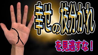 手相の枝分かれは幸せの前兆だった たくさん枝分かれがあるのはかなり喜ばしいこと [upl. by Hans]