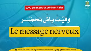 BAC Sciences expérimentales  SVT  2ème trimestre  Le message nerveux [upl. by Eelra891]