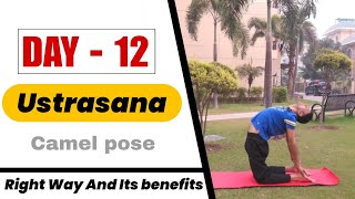 How to perform Ustrasana yoga camel pose [upl. by Noe]