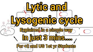 Lytic and Lysogenic cycleModel of virus replication replication lytic Lysogenic cycle virus [upl. by Anilemrac]