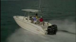 Boston Whaler 240 Outrage [upl. by Sevik]