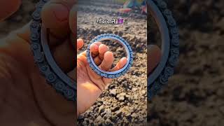 गाॅंव वाले ⚙️💪 farmer youtubeshorts youtube [upl. by Ahsinawt]