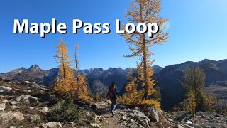 Hiking Maple Pass Loop with Golden Larches [upl. by Philly]