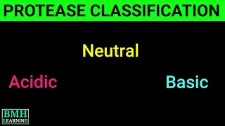 Classification Of Proteases  Basic amp Acidic Protease  Protease Production  Types Of Protease [upl. by Eidahs]