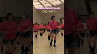 Linedance  Sixteen Tons  마라톤 Level 2  원더라인댄스 [upl. by Ellehsyt]