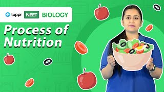 Process of Nutrition  NEET 2021 Biology  Toppr NEET [upl. by Gnidleif37]