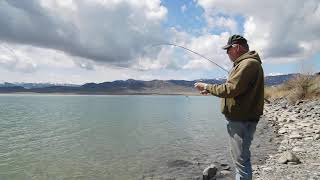 Cutthroat Trout Fishing in Meeteetse Wyoming Part 1 [upl. by Alauqahs]