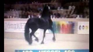 KFPS Friesian Stallion HESSEL 480 Hengstenkeuring 2014 [upl. by Tomkin]