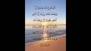 Surah Alam Nashrah surahalamnashrah [upl. by Nioe971]