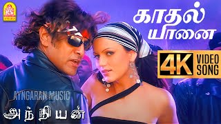 Kadhal Yaanai  4K Video Song  காதல் யானை  Anniyan  Vikram  Shankar  Harris Jayaraj  Ayngaran [upl. by Aisel]