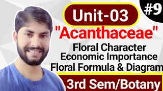 BSc 2nd year Botany Unit3Family Acanthaceae In hindiVegetative characterFloral diagramFormula [upl. by Marteena]