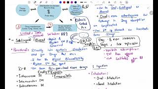 Pharmacokinetics  Routes of Drug Administration  pharmacokinetics pharmacology [upl. by Sundstrom]