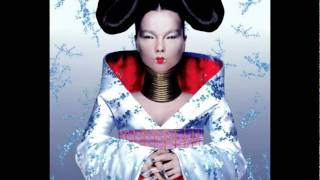 Björk  Immature  Homogenic [upl. by Zetnod]