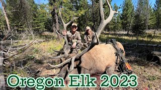 Oregon Elk  2023 Archery Hunt [upl. by Rep945]