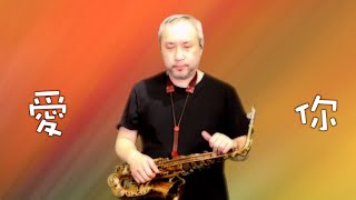 愛你王心凌  自製伴奏  Saxophone Cover  薩克斯風演奏 [upl. by Llirred]