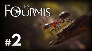 PIERRE FEUILLE CISEAU  LES FOURMIS  Ep 2 [upl. by Utica253]