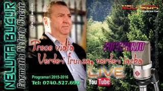 NELUTA BUCUR  Trece viata  Verdei frunza verdei iarba live 2014 [upl. by Kacerek922]