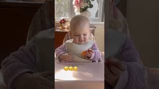 FIRST TASTES AT10 MONTHS OLD ♥️ baby shorts dayinmylife firstvlog babyyumyum chuchutv 100 [upl. by Trey93]