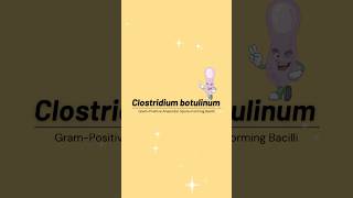 Clostridium botulinum  Botulism Bacteriology Laboratory MedicalTechnologist Microbioworld [upl. by Elysia]