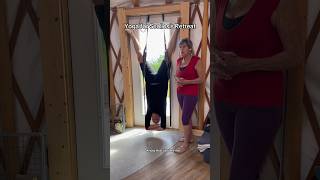 Yoga for Scoliosis Retreat scoliosistreatment [upl. by Yenreit556]