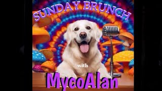 Sunday Brunch with MycoAlan [upl. by Retla]