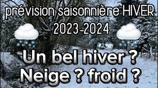 Prévisions Saisonnière Hiver 20232024  Neige  Froid  À quoi s’attendre [upl. by Misty834]