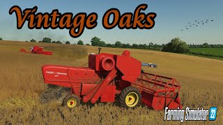 Old Massey Fergusons Combining Early 70s   Vintage Oaks FurtherBack  Farming Simulator 22 [upl. by Kerry]