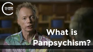 Andy Clark  What is Panpsychism [upl. by Dominick]