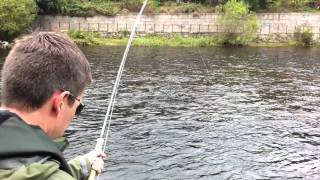 River Dee Salmon Fishing Scotland [upl. by Neimad]