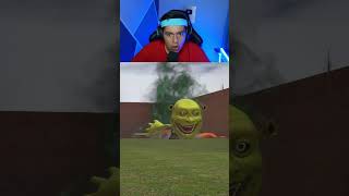 DOG DAY VS SHREK EN GARRYS MOD [upl. by Ibrek]