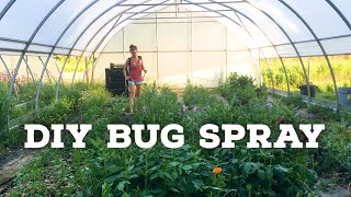 Spraying my dahlias with DIY insecticidal soap [upl. by Adanar97]