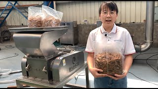 cinnamon powder mill spice grinder machine spice mills infobrightsailasiacom [upl. by Hintze]