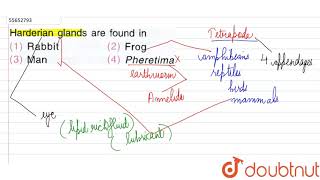 Harderian glands are found in [upl. by Kirch]