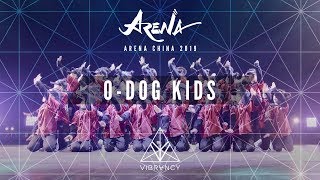 1st Place ODOG Kids  Arena China Kids 2019 VIBRVNCY Front Row 4K [upl. by Juieta766]