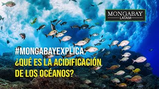 Mongabay explica ¿Qué es la acidificación de los océanos y cuáles son sus consecuencias [upl. by Drida]